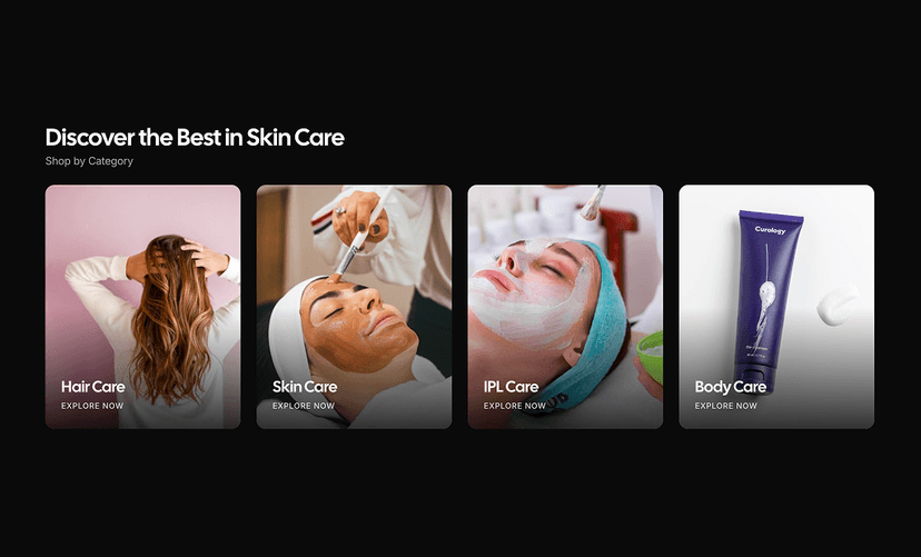 shadcn product category sections dark